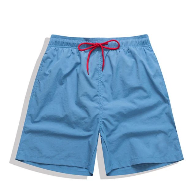 Men's Quick-Drying Mesh Lined Swim Shorts